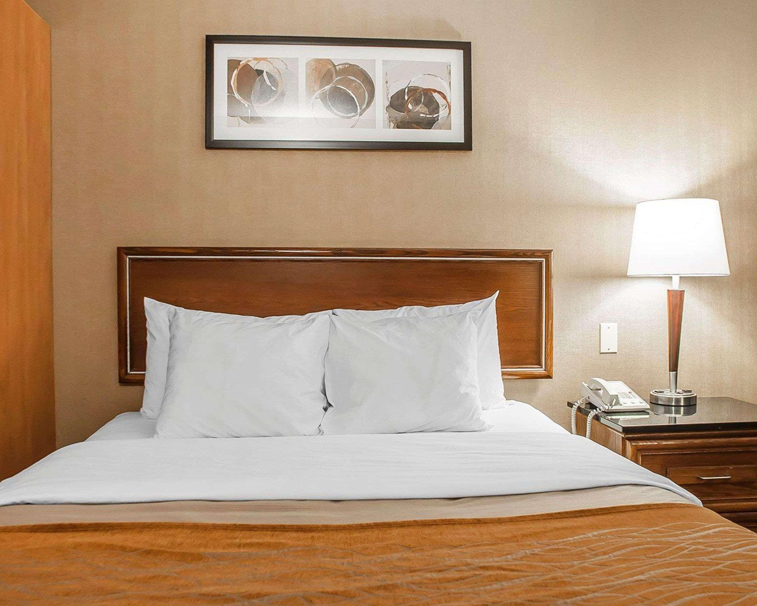 Comfort Inn Simcoe Kültér fotó